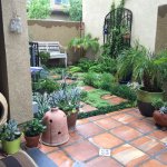 outdoor courtyard, container garden, succulent outdoor courtyard, container garden, succulent